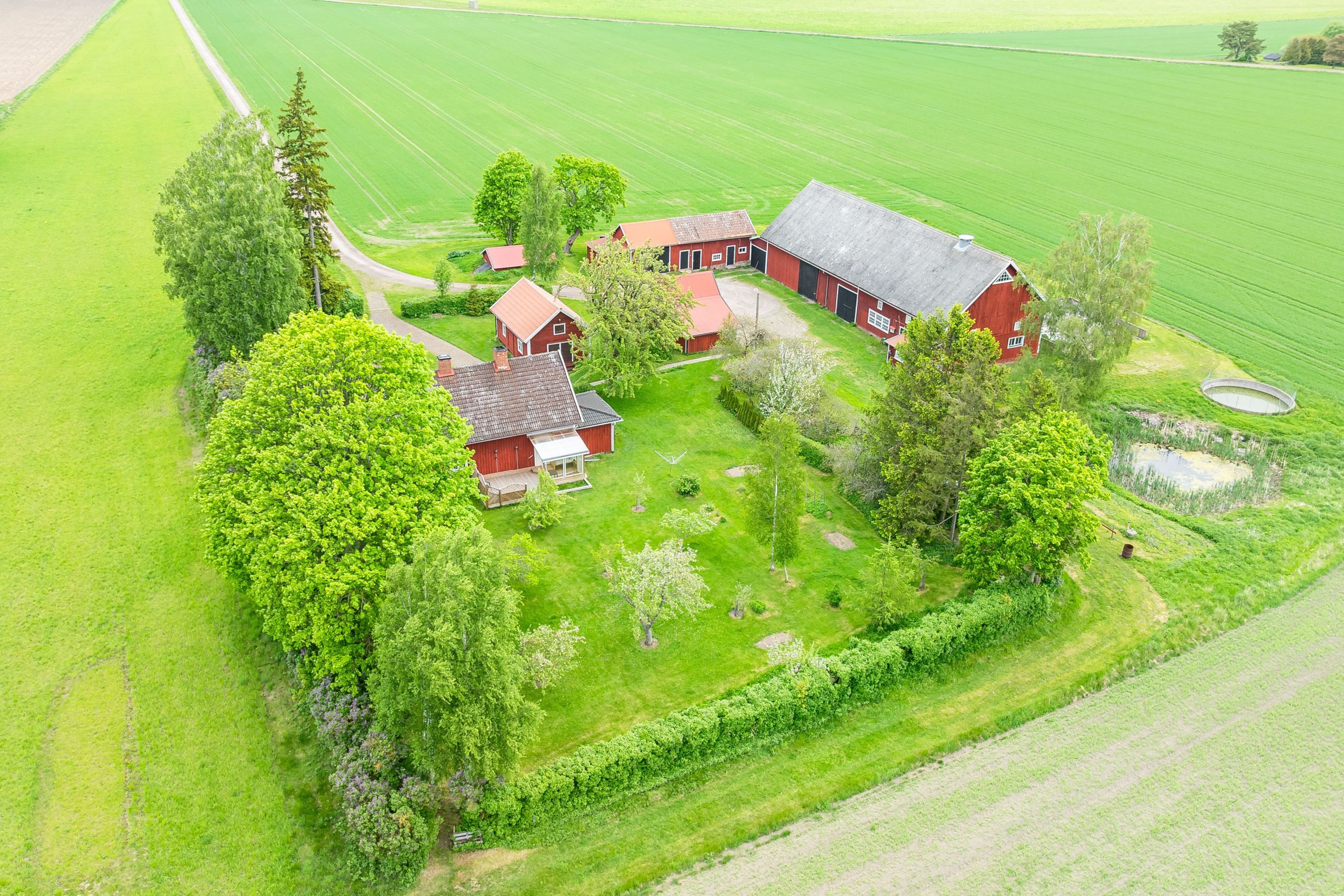 Bildkategori