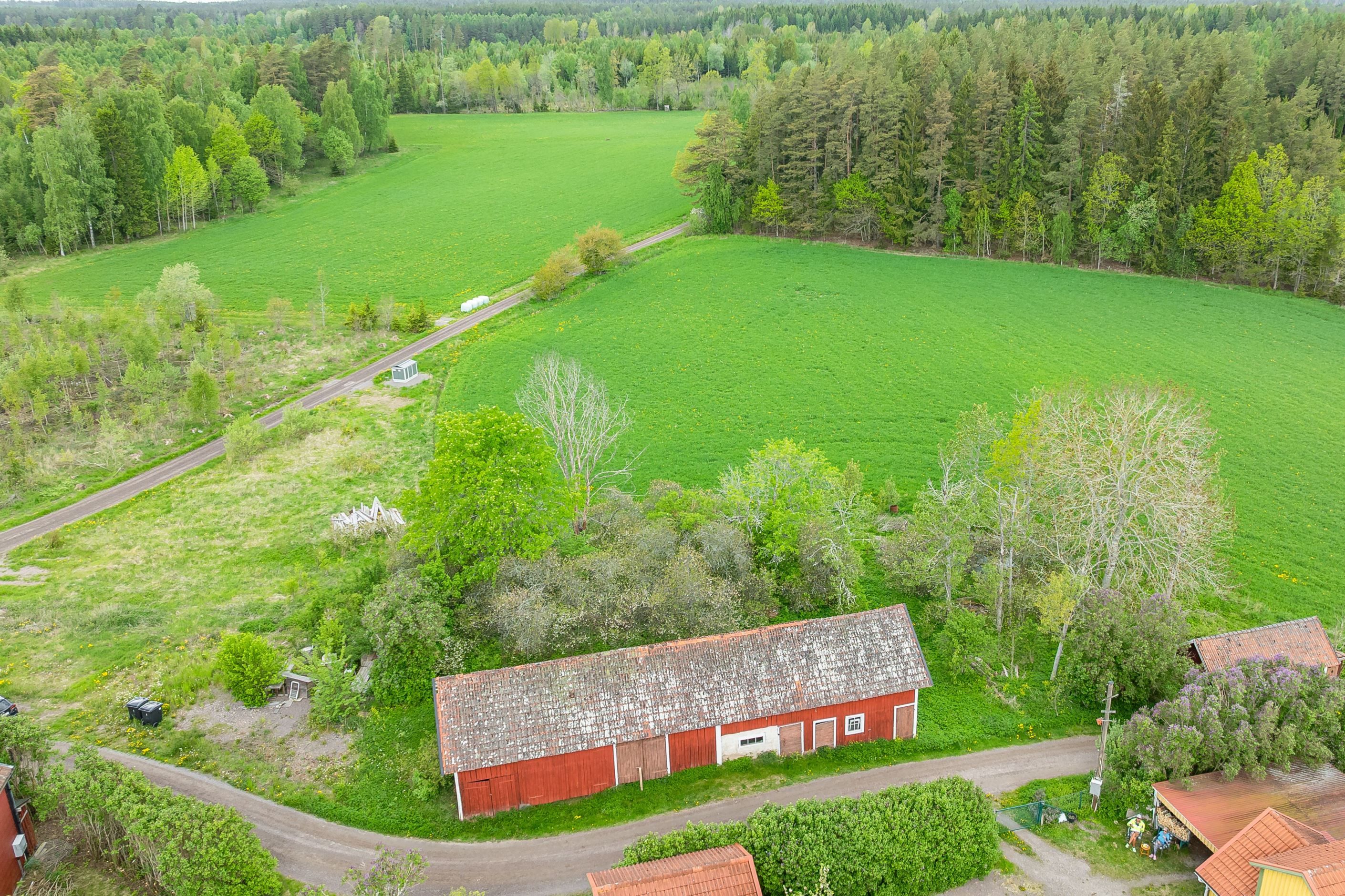 Bildkategori