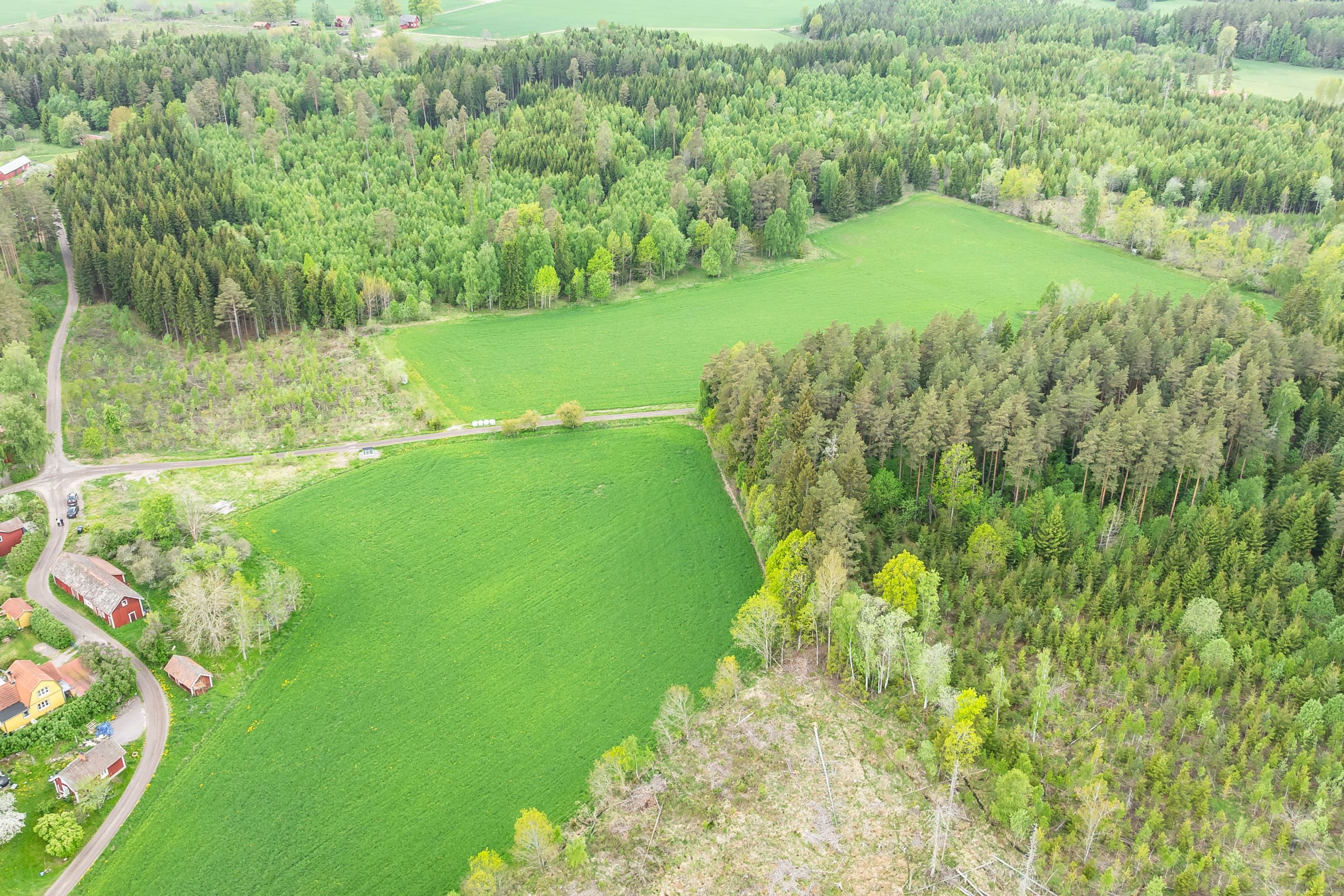 Bildkategori