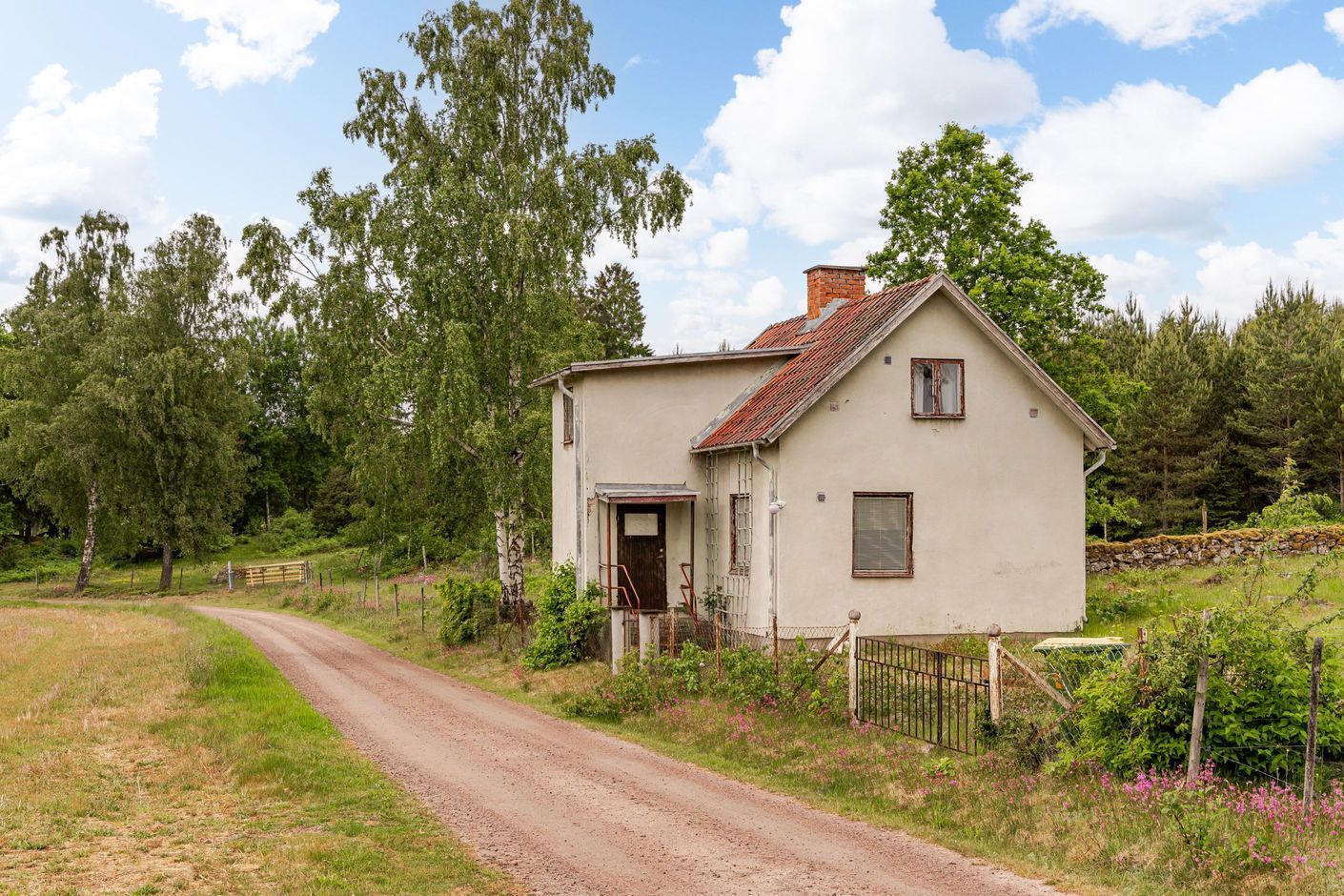 Bildkategori
