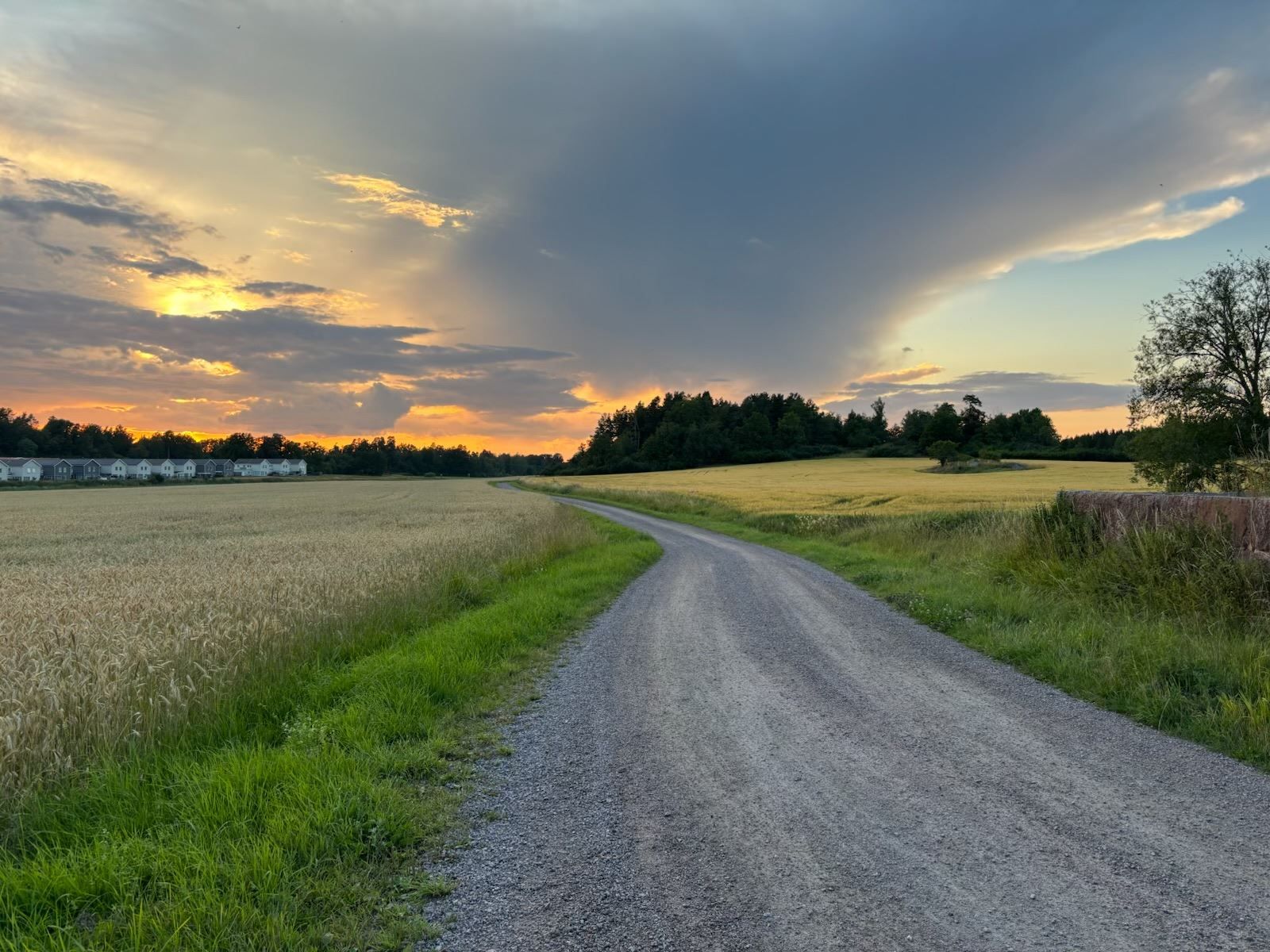 Säljarens bild