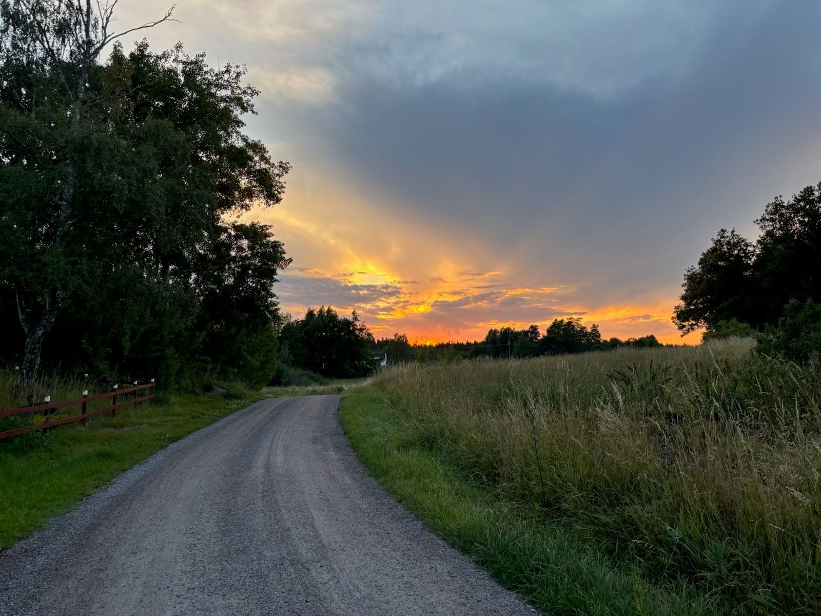 Säljarens bild