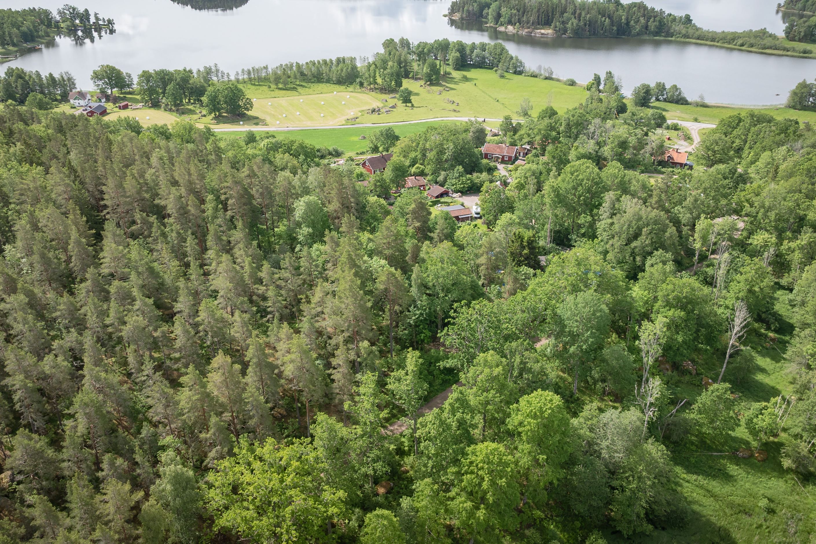 Bildkategori