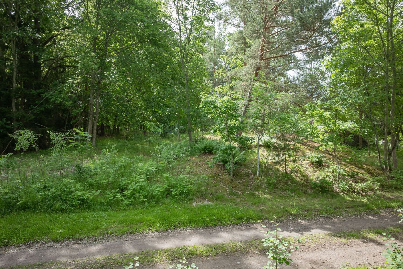Bildkategori