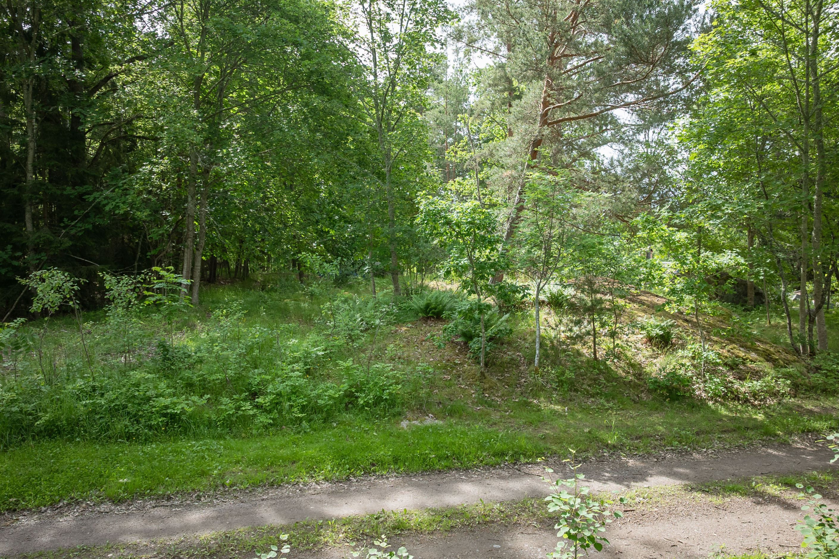 Bildkategori