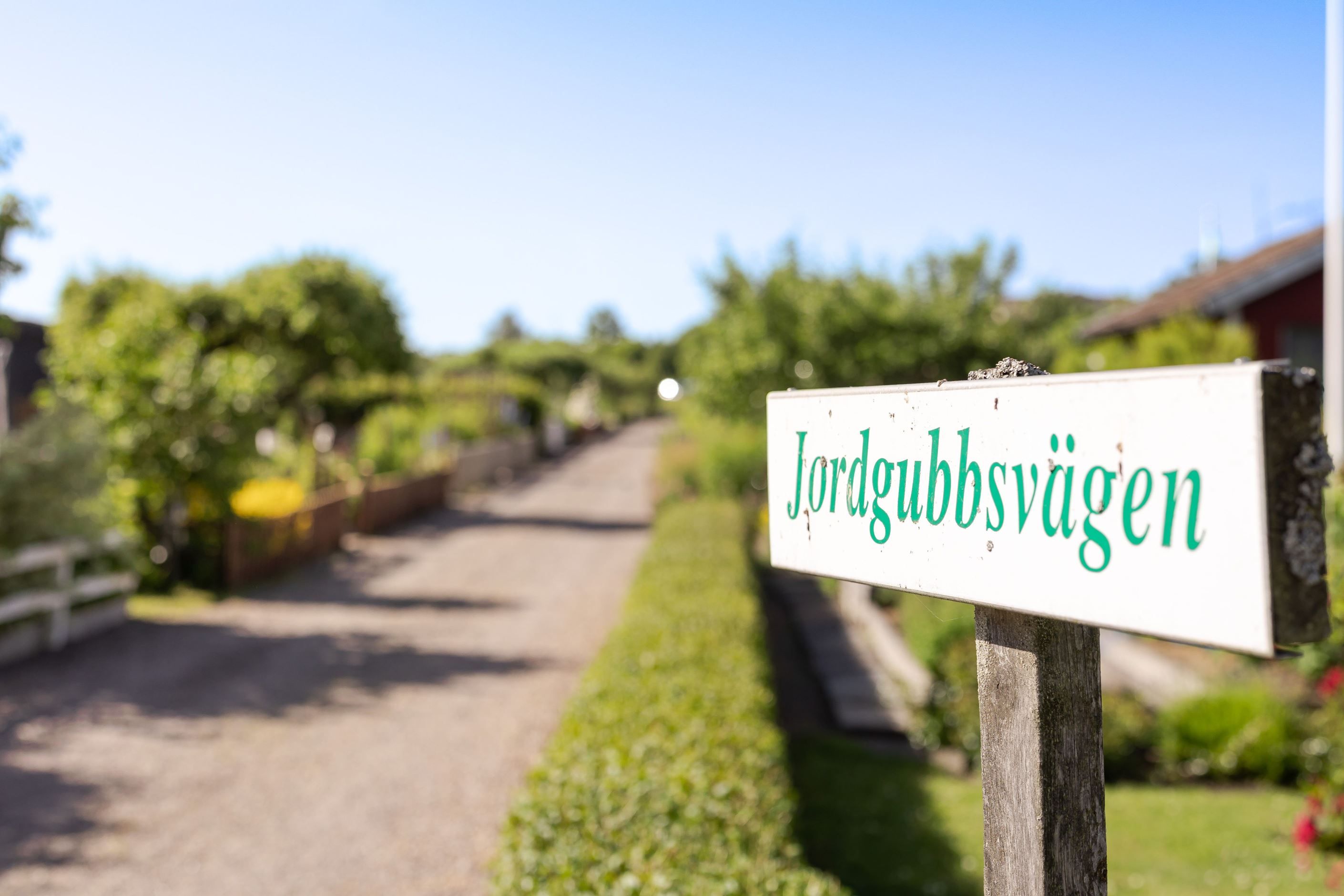 Bildkategori