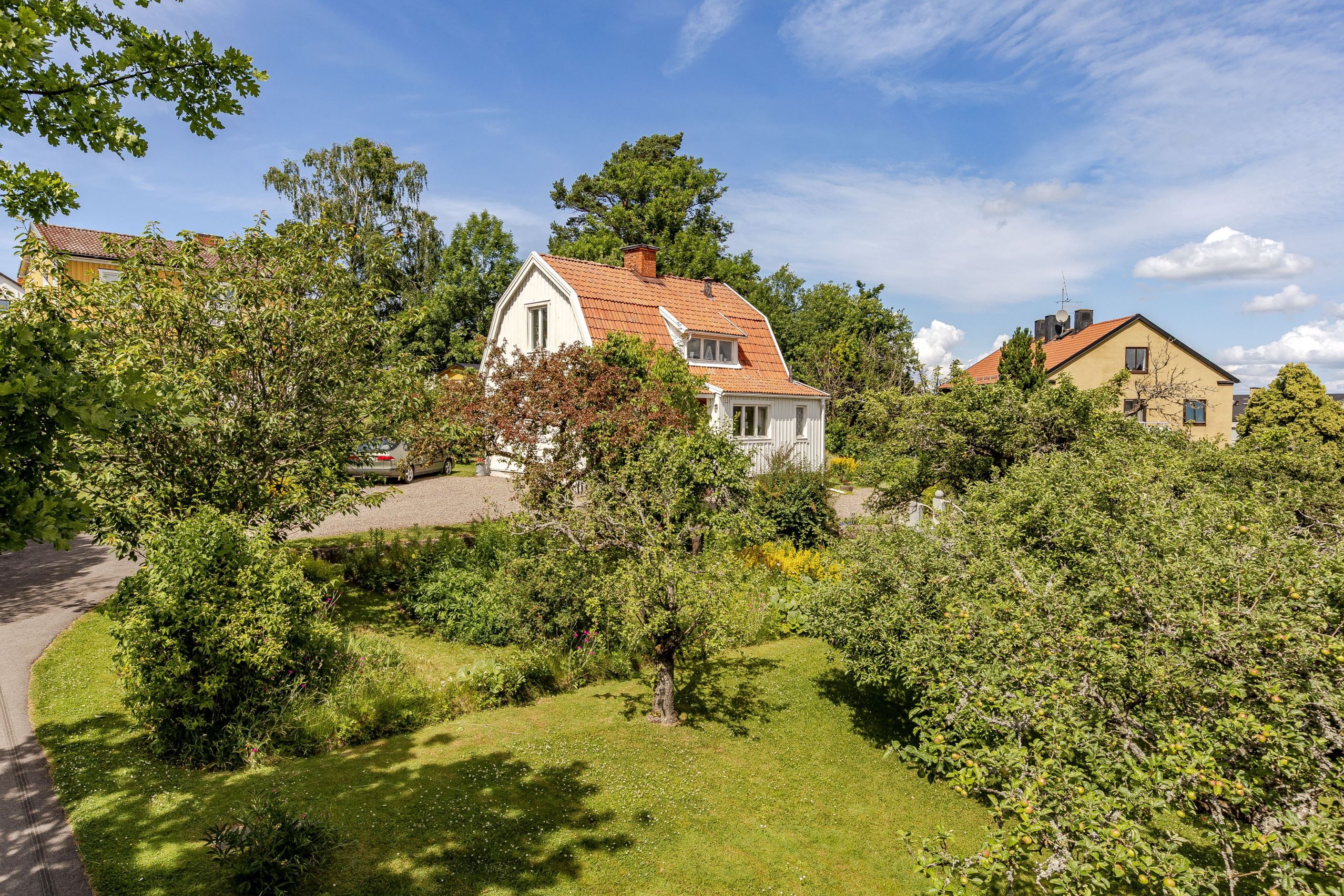 Bildkategori