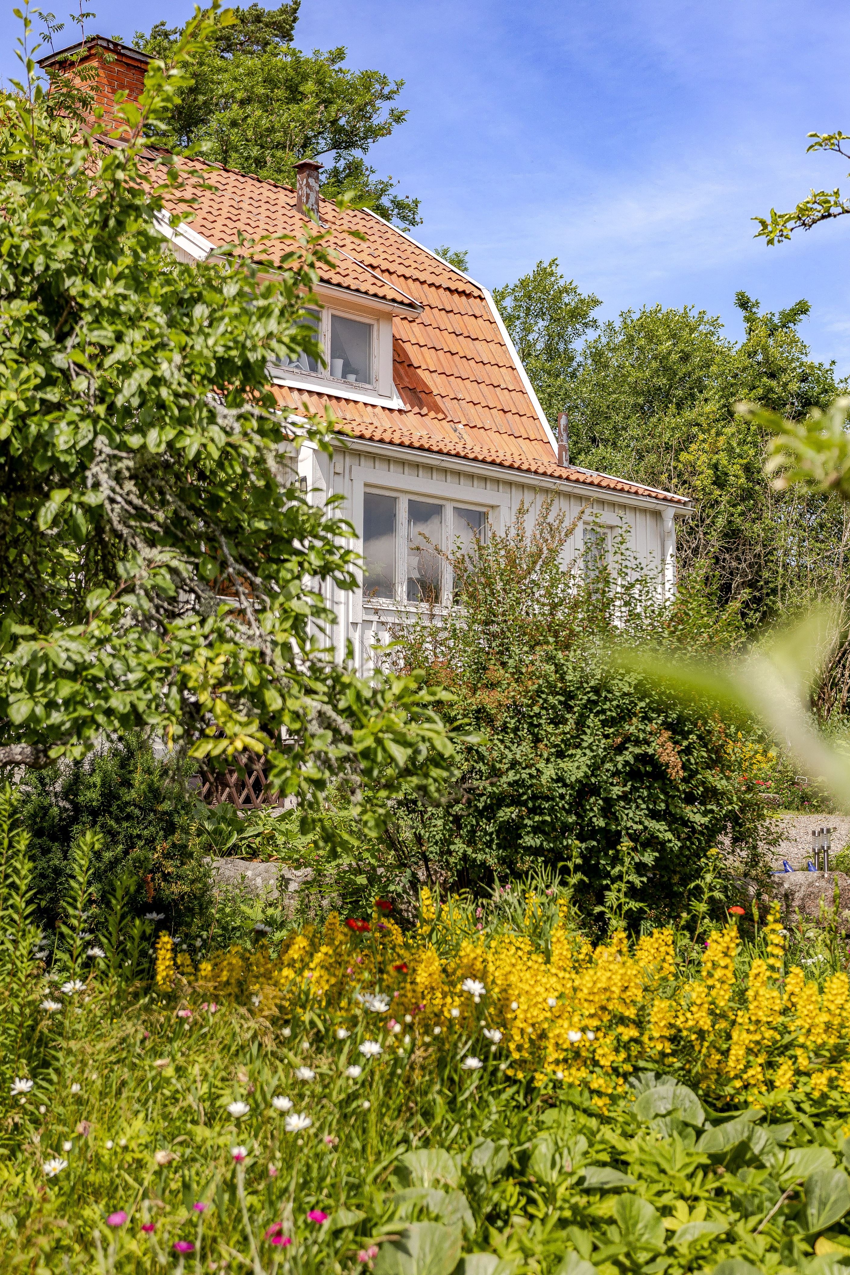 Bildkategori