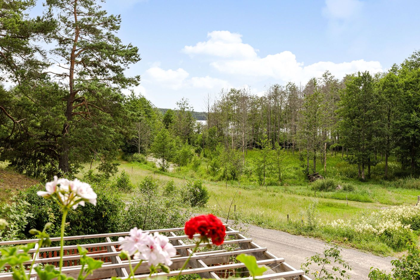 Bildkategori