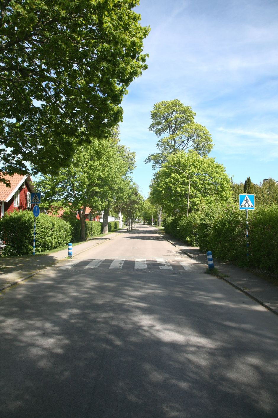 Fin och lummig allé in till området