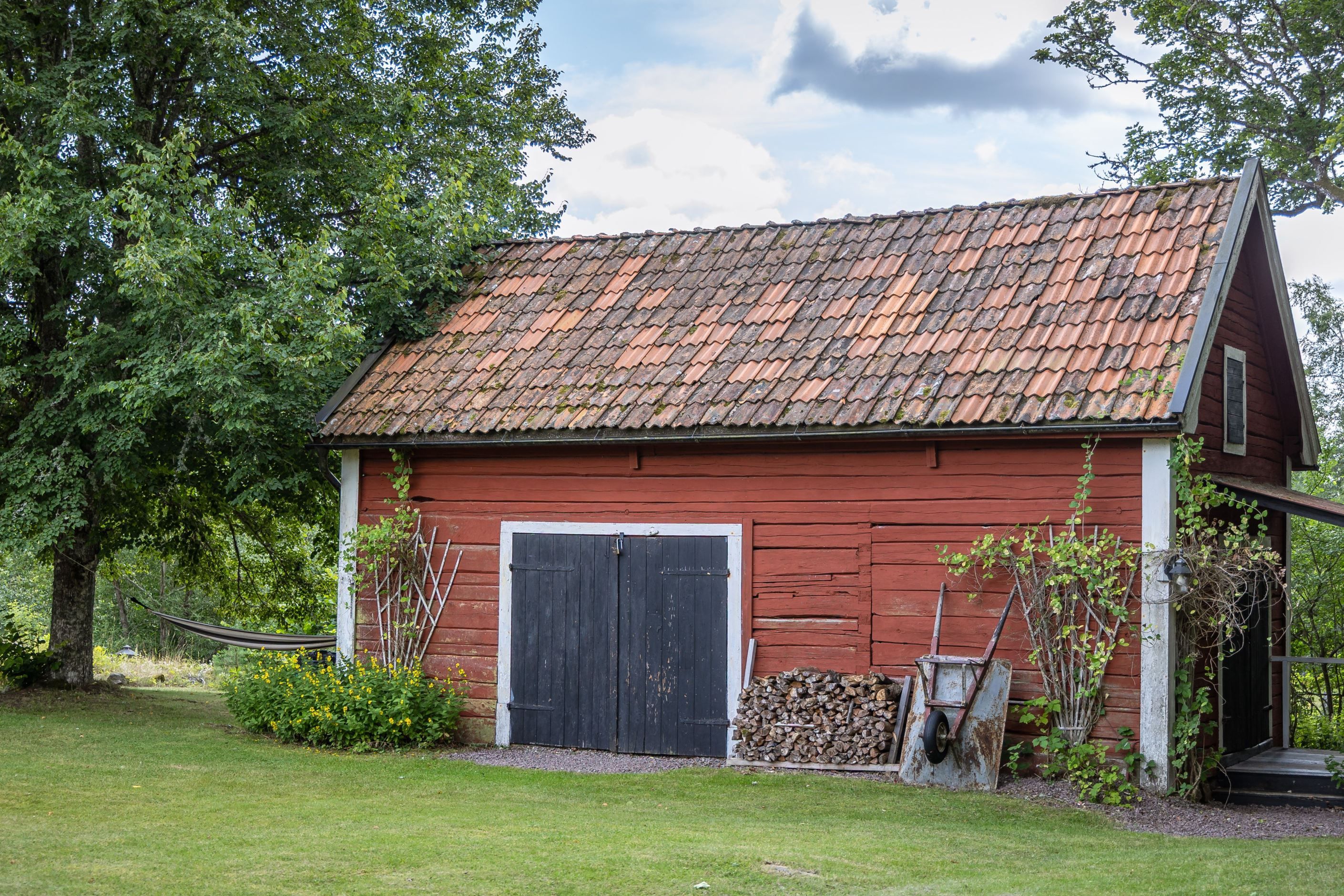 Bildkategori