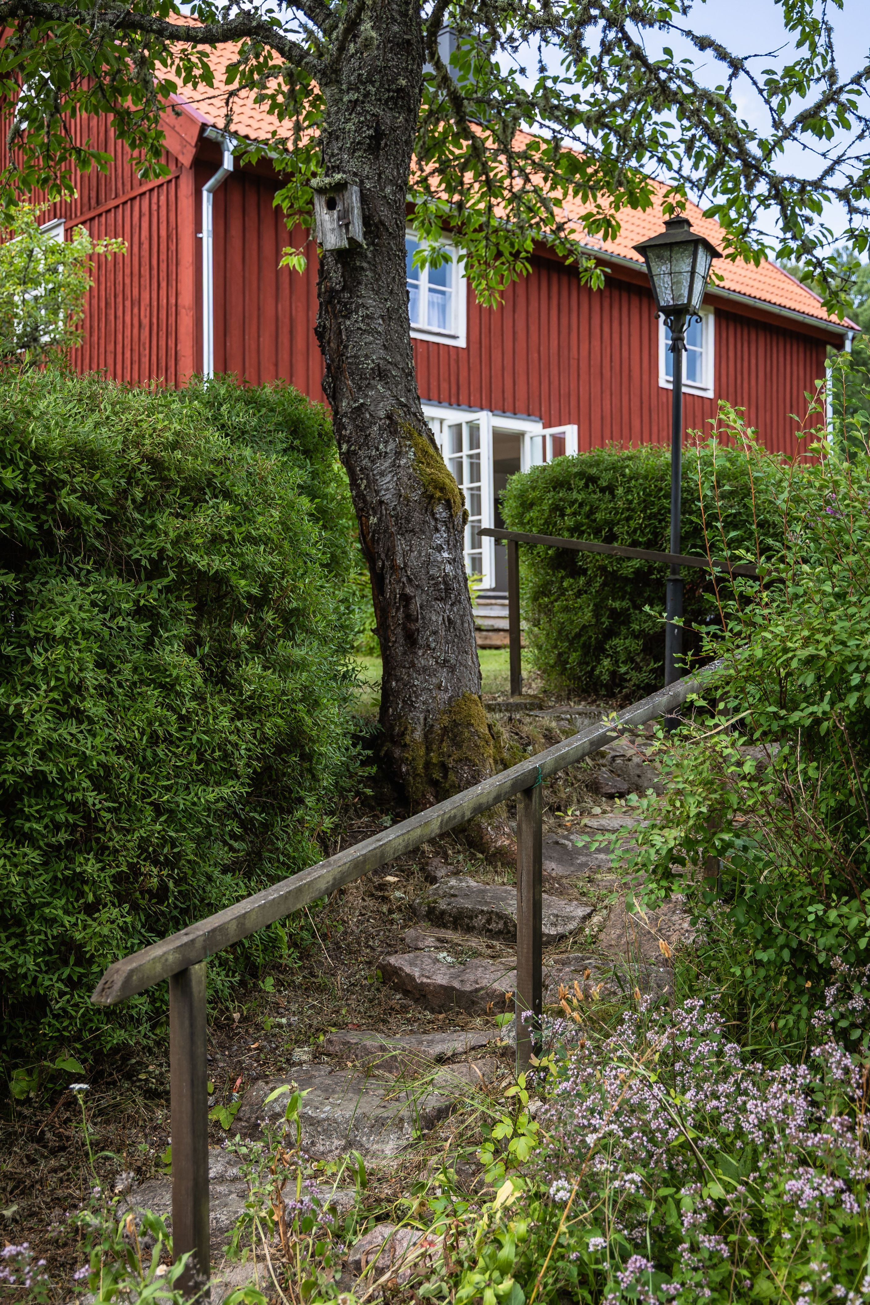 Bildkategori