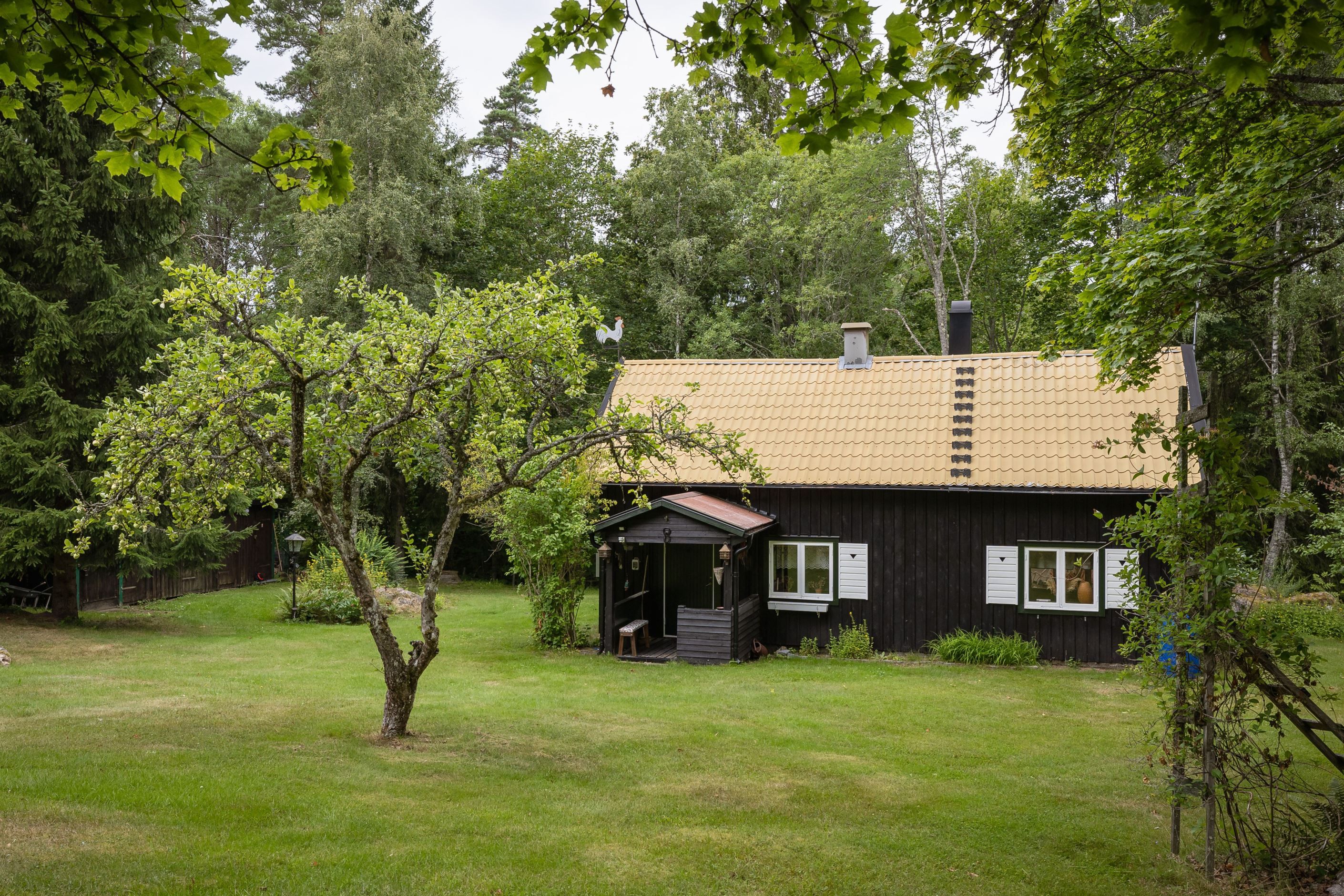 Bildkategori