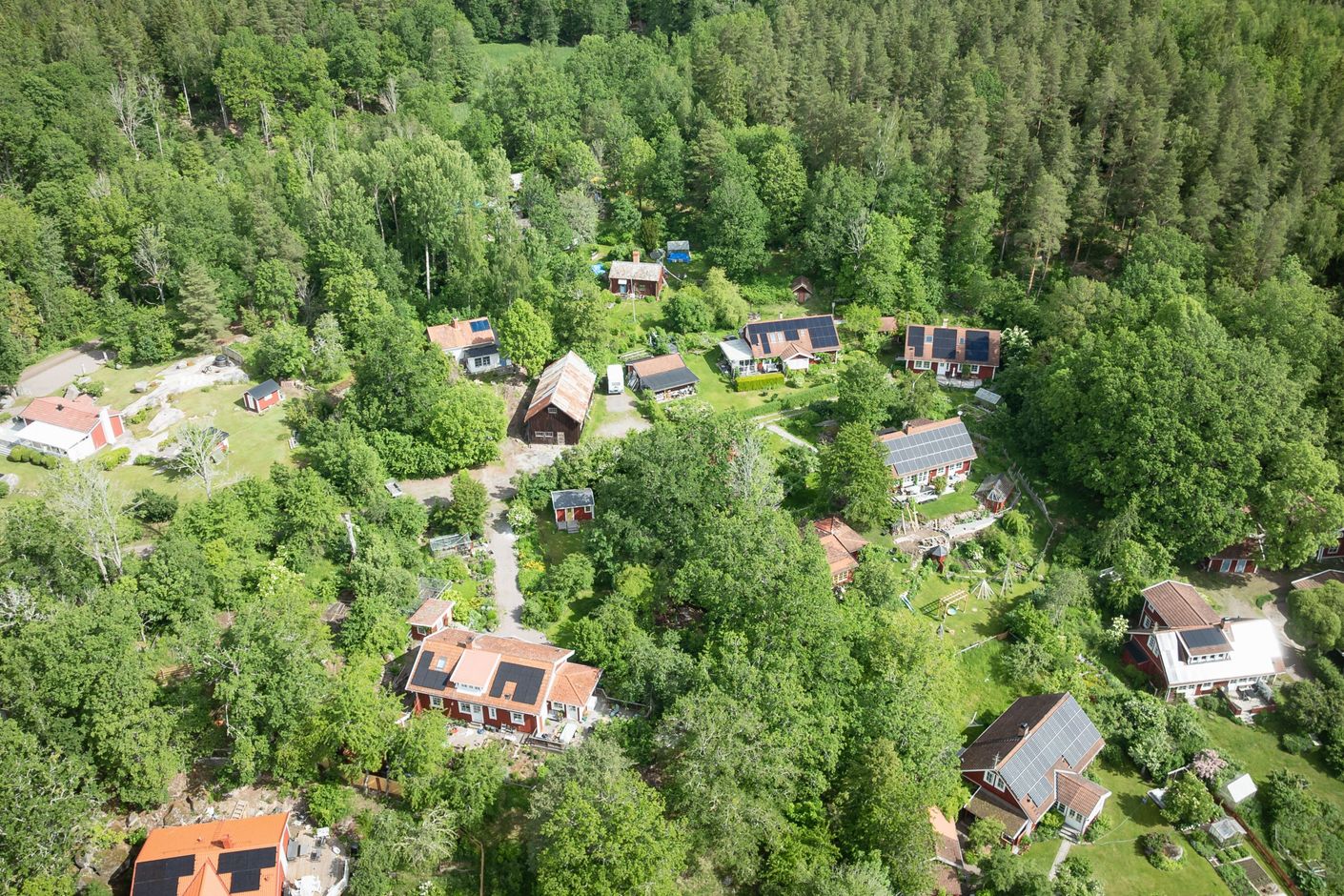 Bildkategori