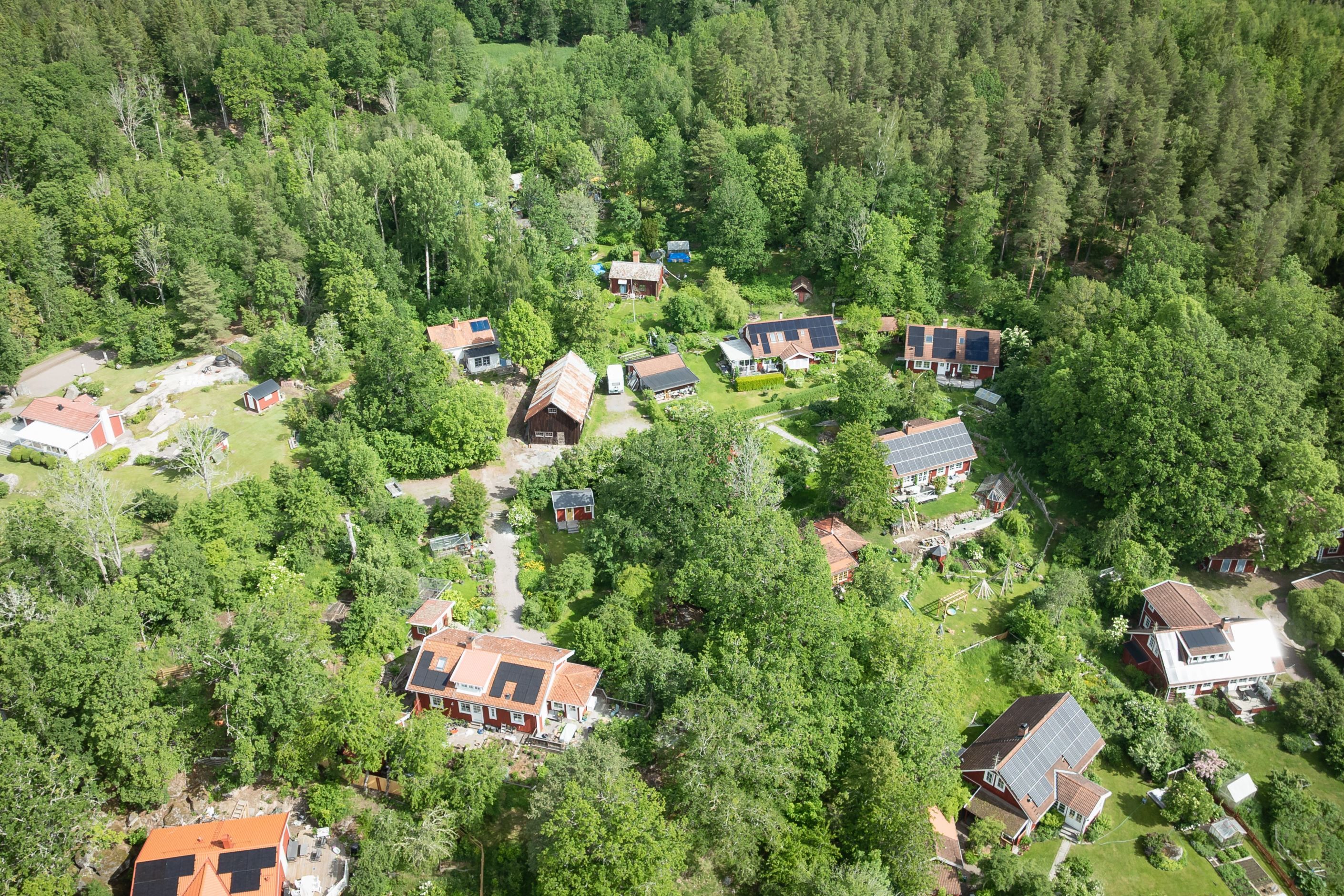 Bildkategori