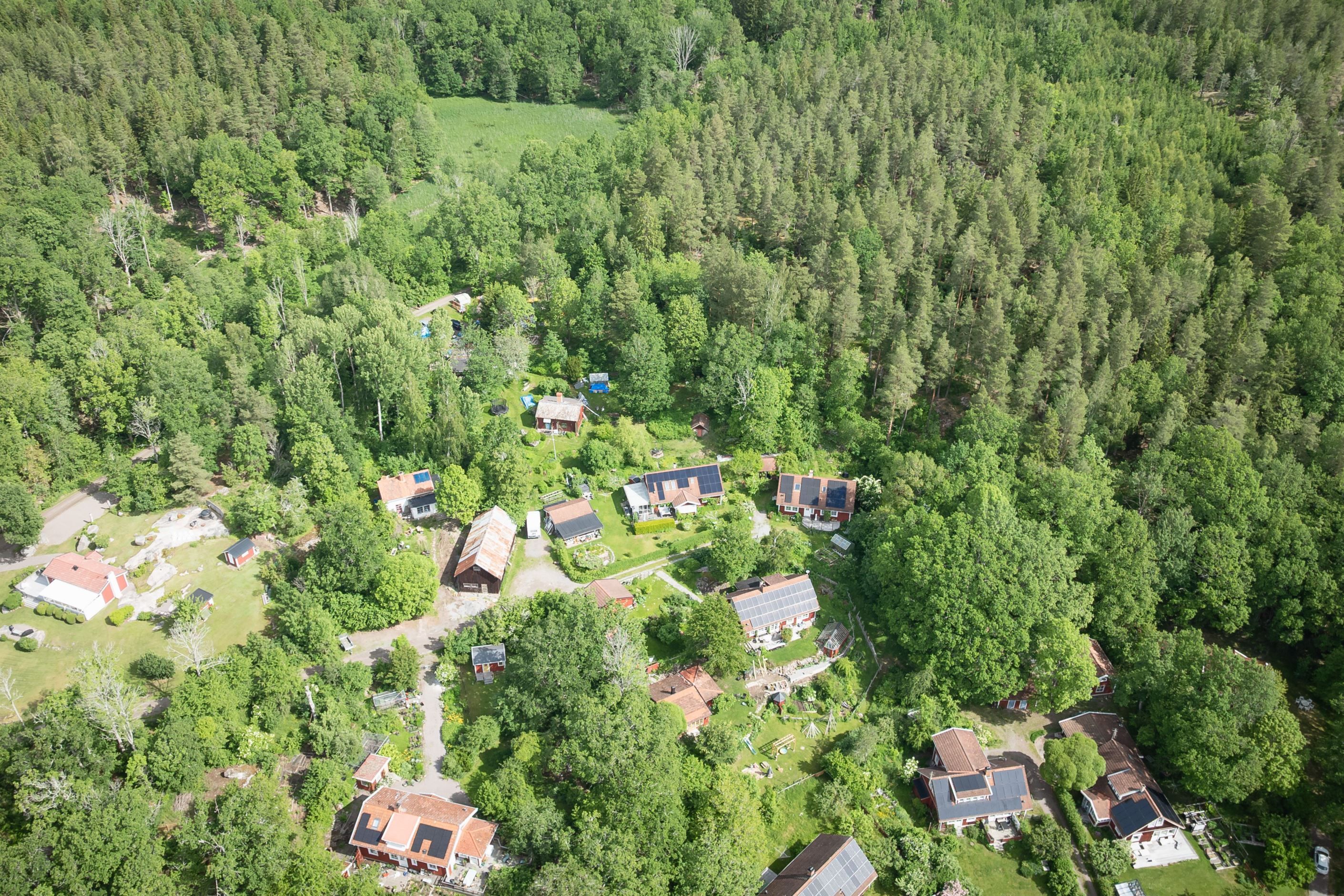 Bildkategori