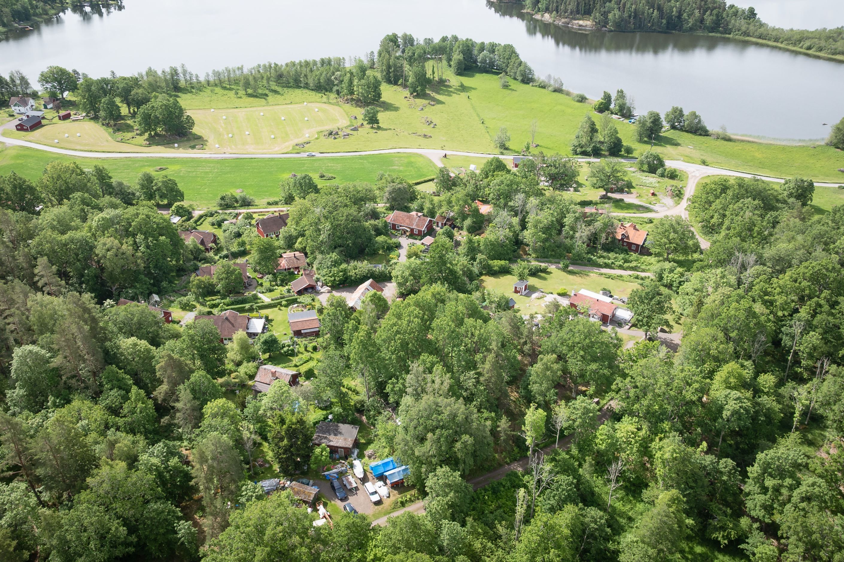 Bildkategori