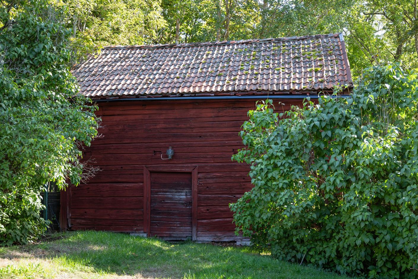 Bildkategori