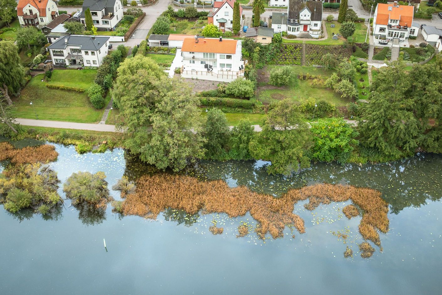 Bildkategori