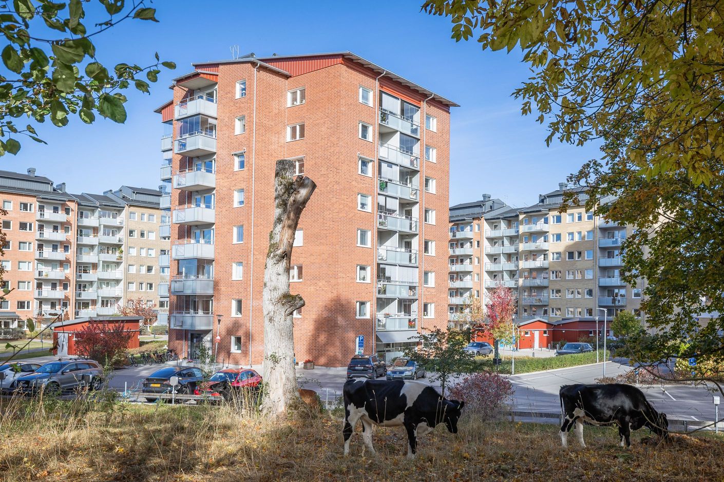 Bildkategori
