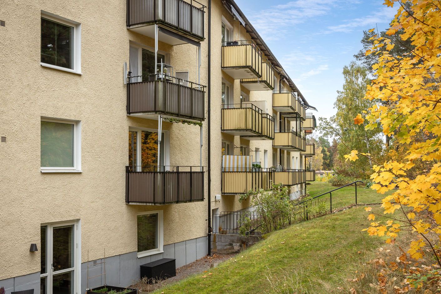 Bildkategori