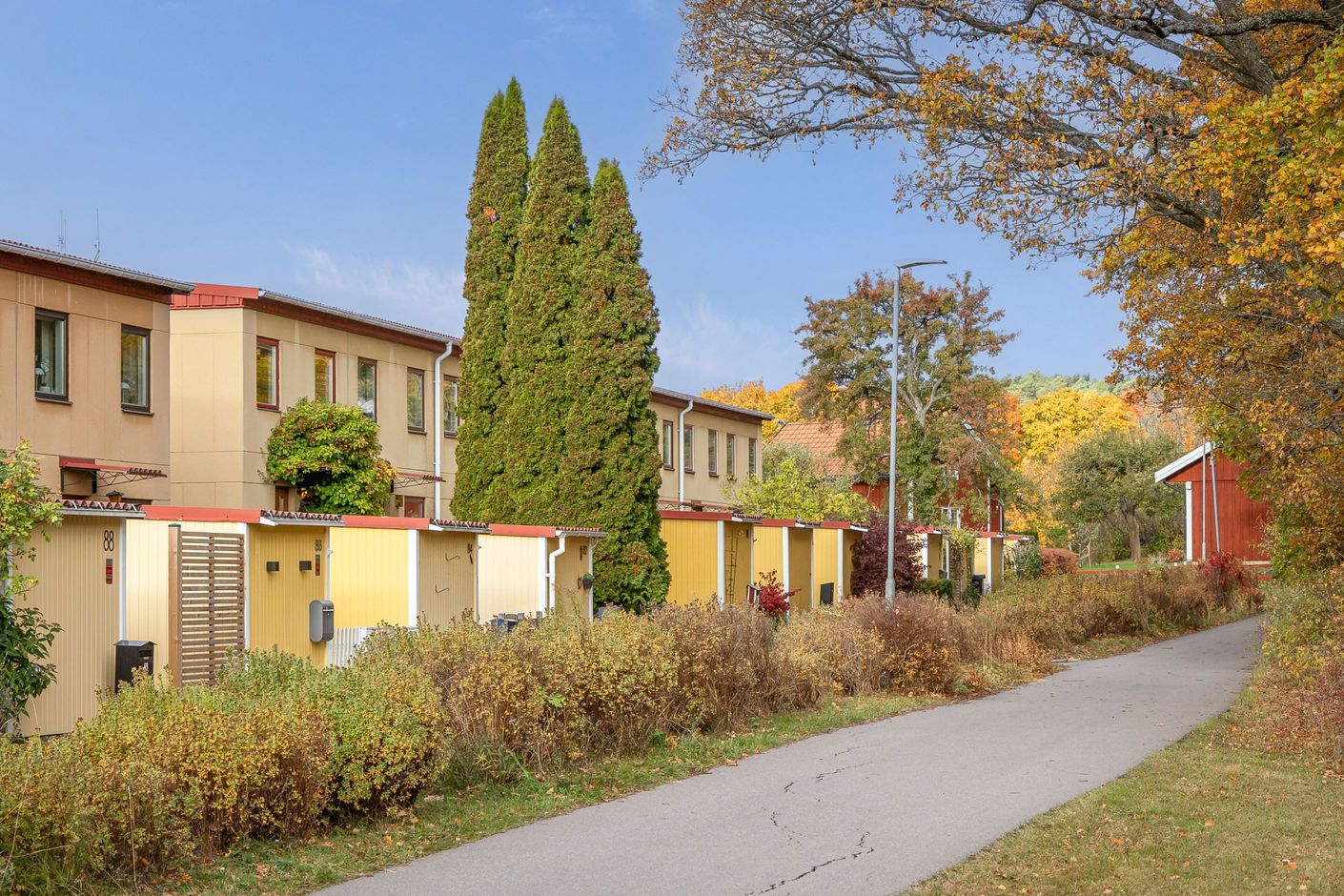 Bildkategori