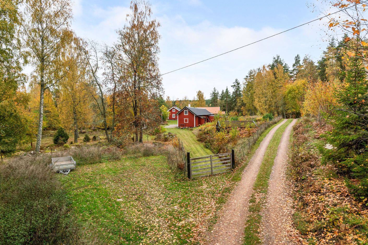 Bildkategori