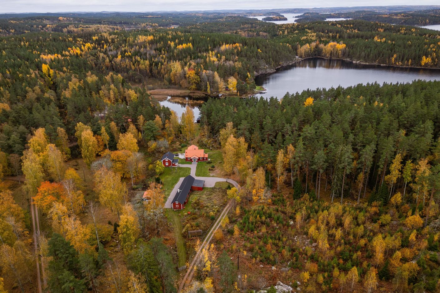 Bildkategori