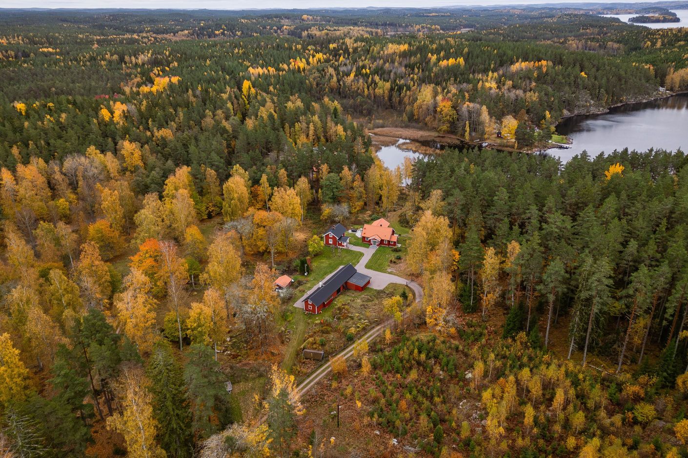 Bildkategori
