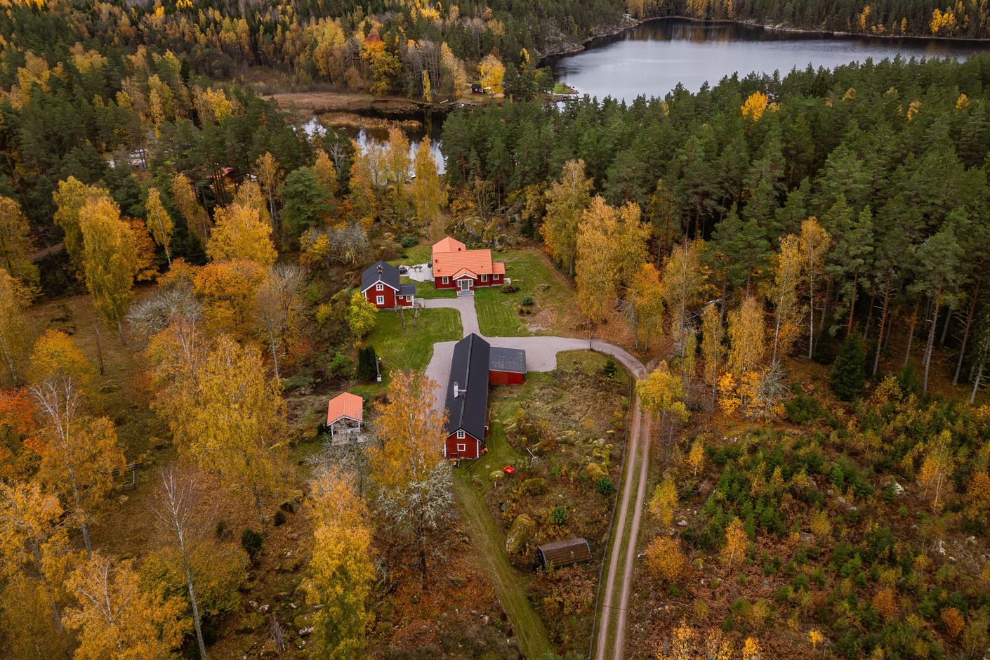 Bildkategori