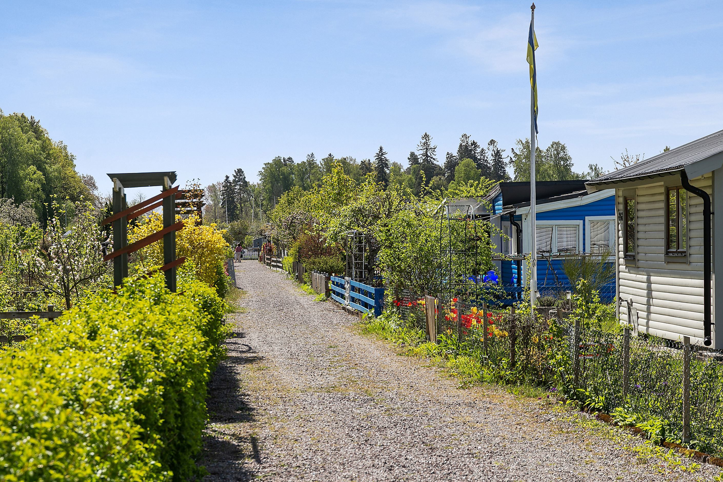 Valla koloniområde omgivning