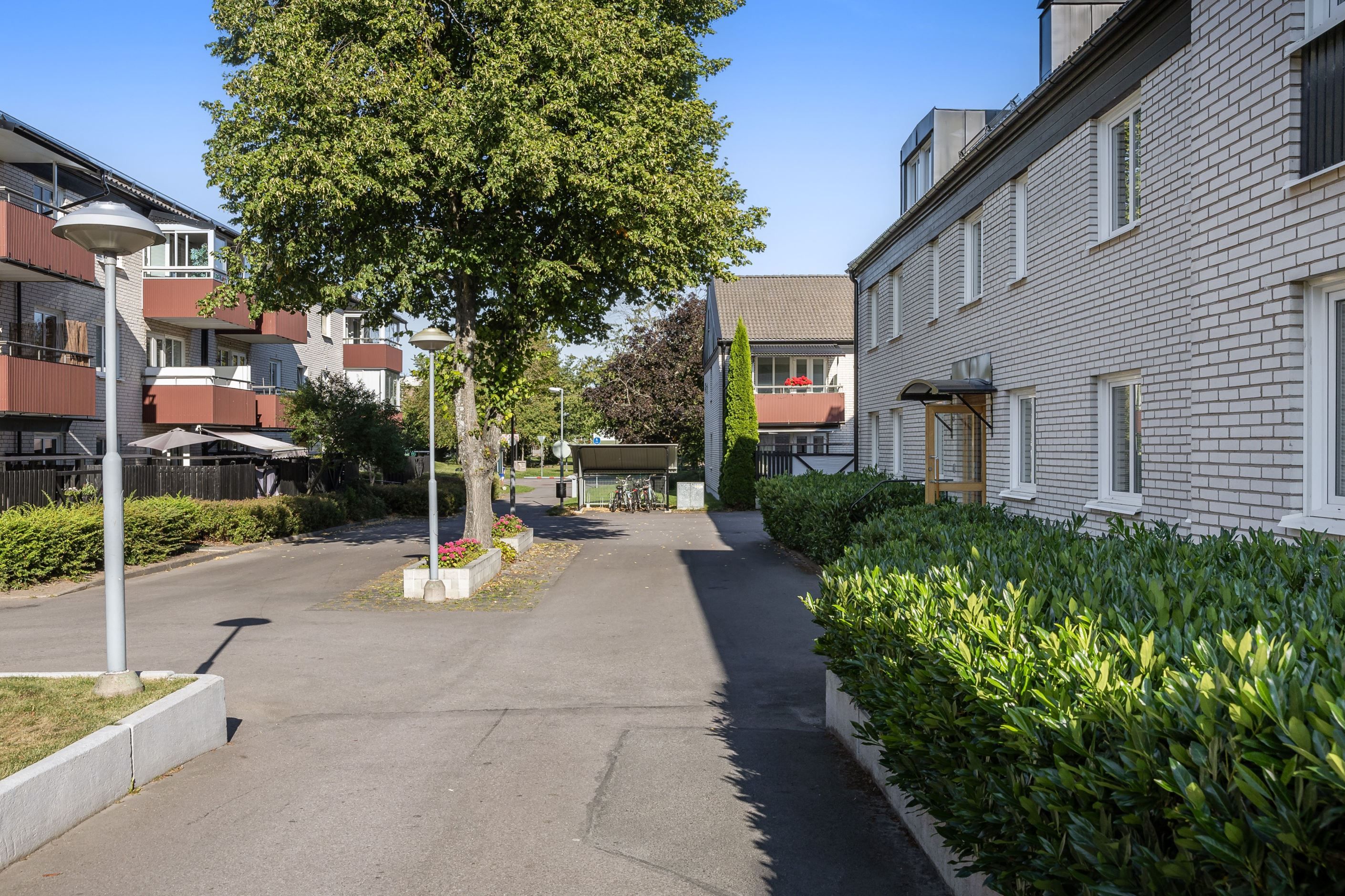 Gatubild