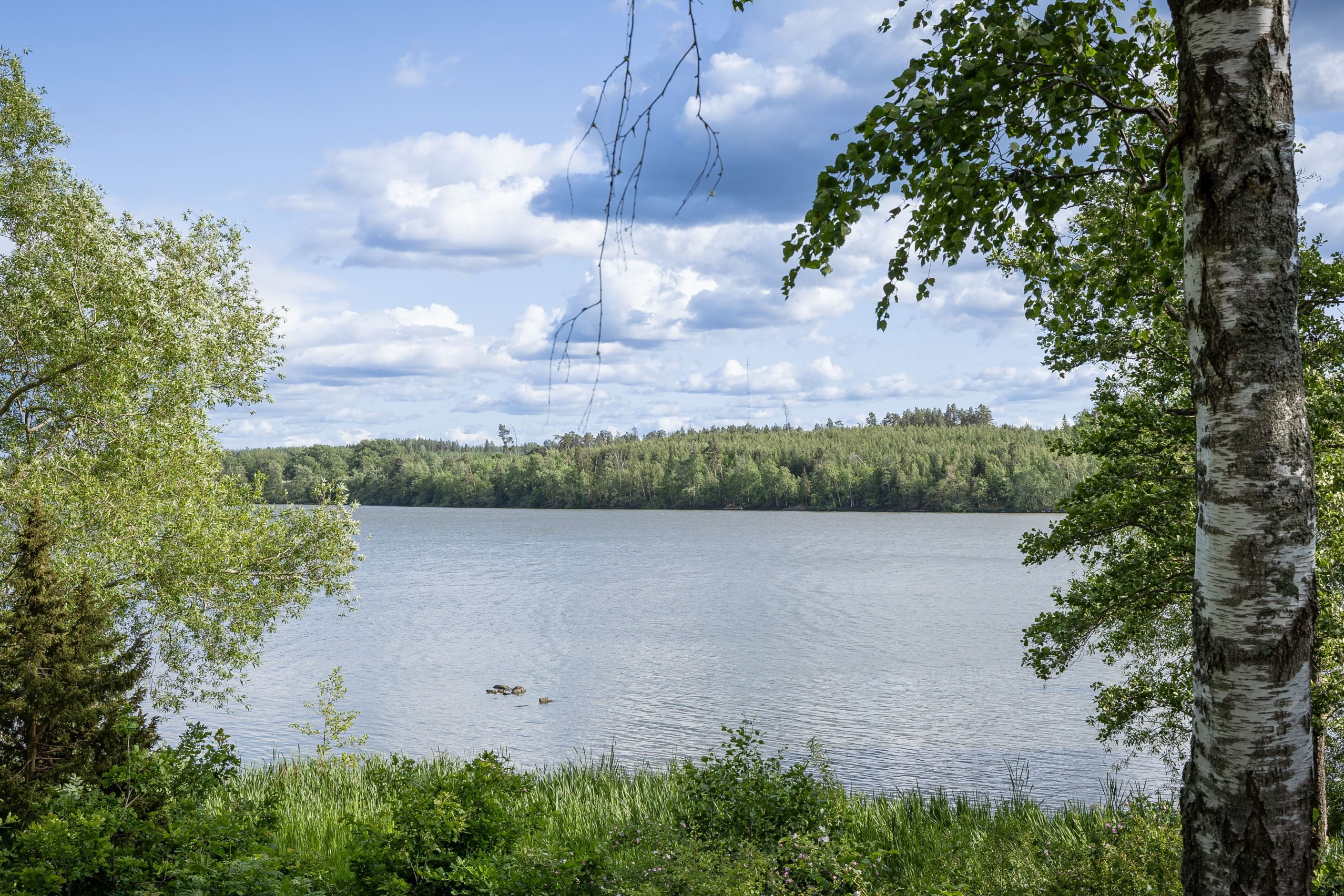 Områdesbild