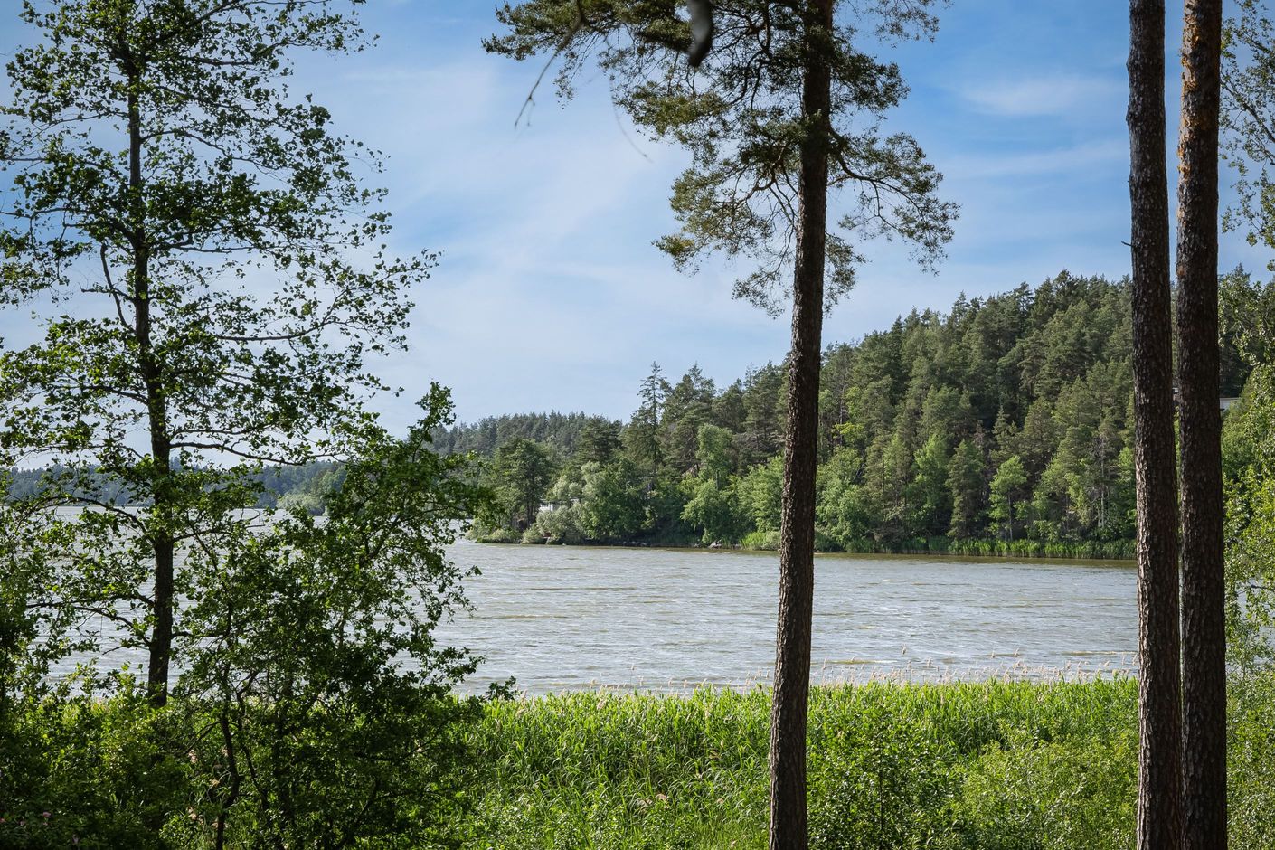 Områdesbild