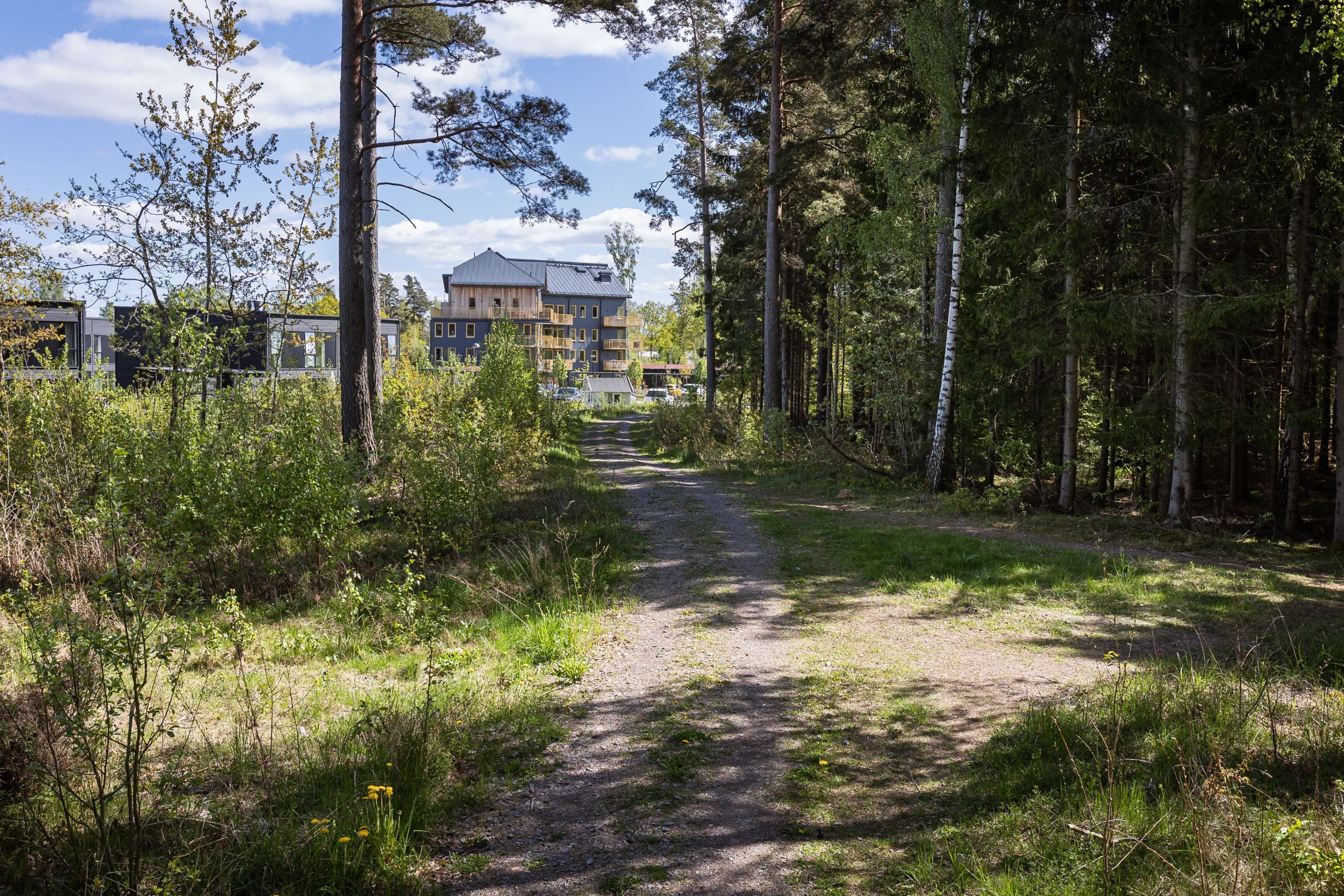 Nära till fina skogspromenader