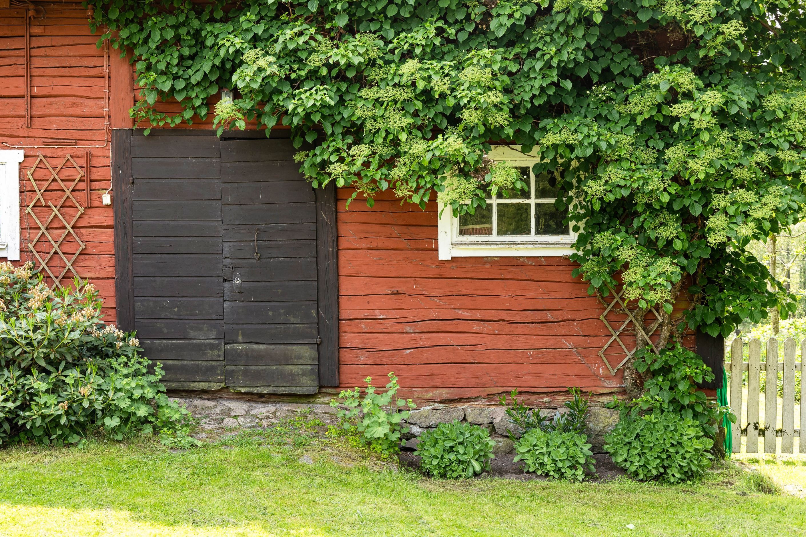 Områdesbild