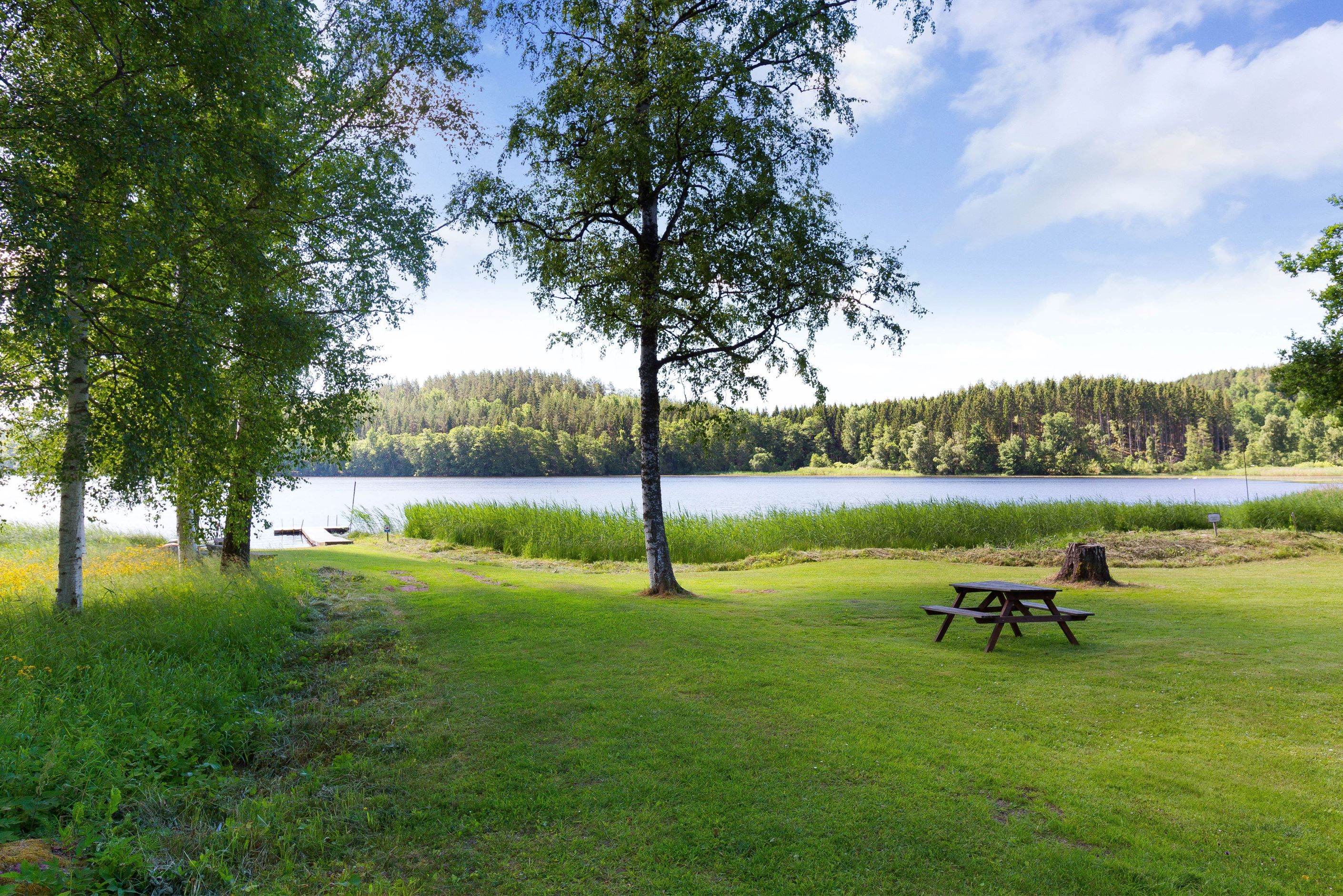 Grönområde vid gemensam badplats
