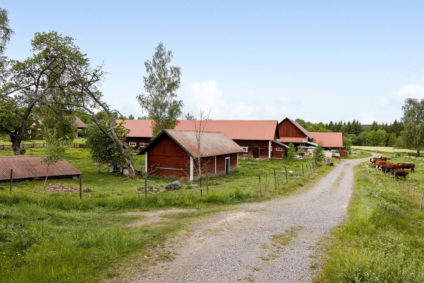 Områdesbild
