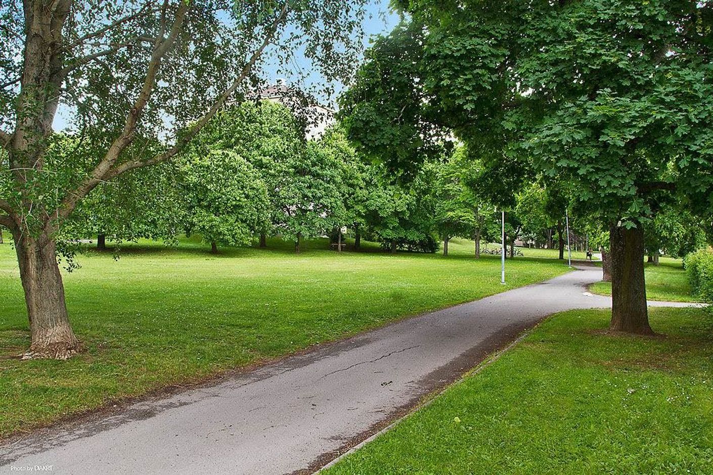 Lågupplöst Parken utanför