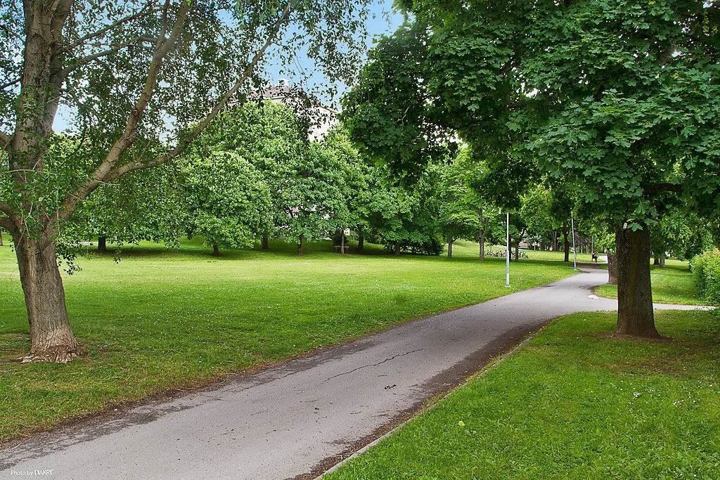 Lågupplöst Parken utanför