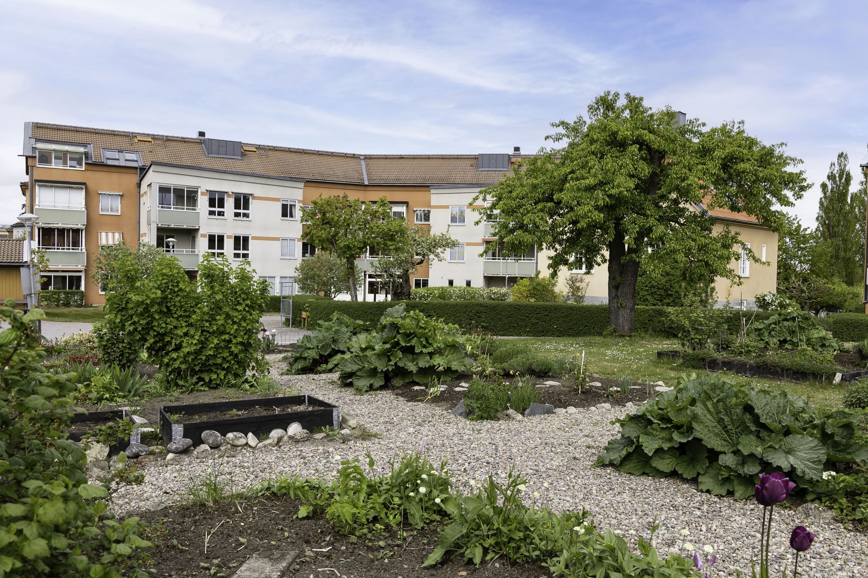 Områdesbild