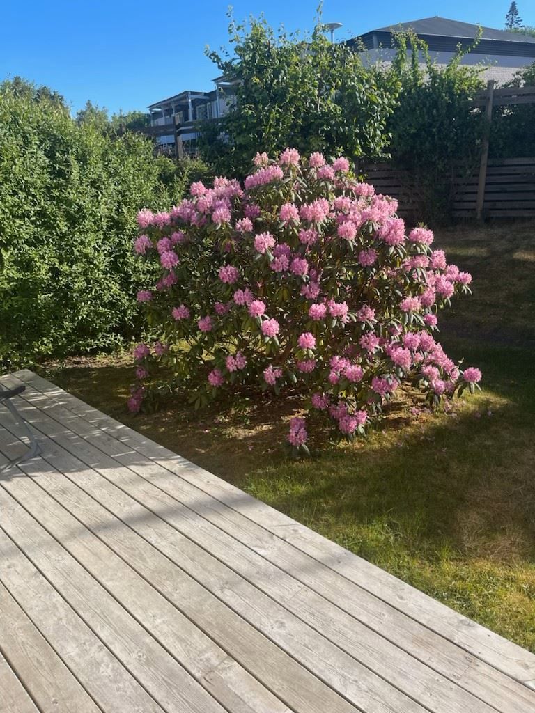 Säljarens egna bild