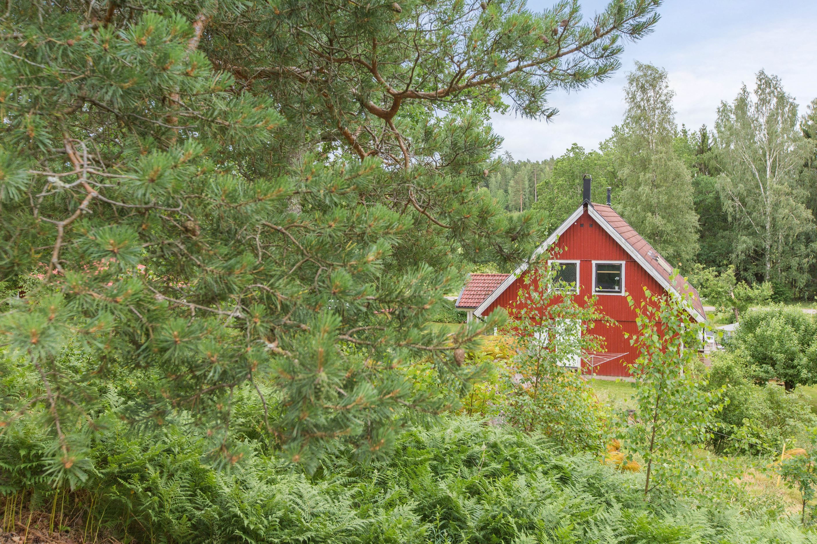 Utsikt från gäststugan