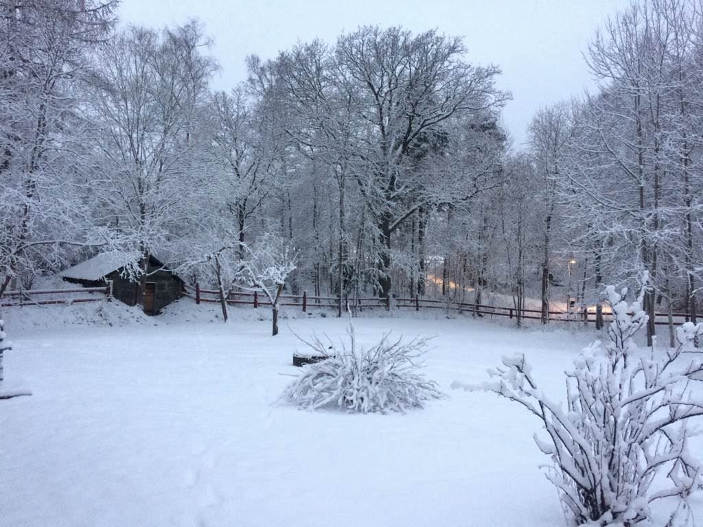 Lånad bild från tidigare ägare