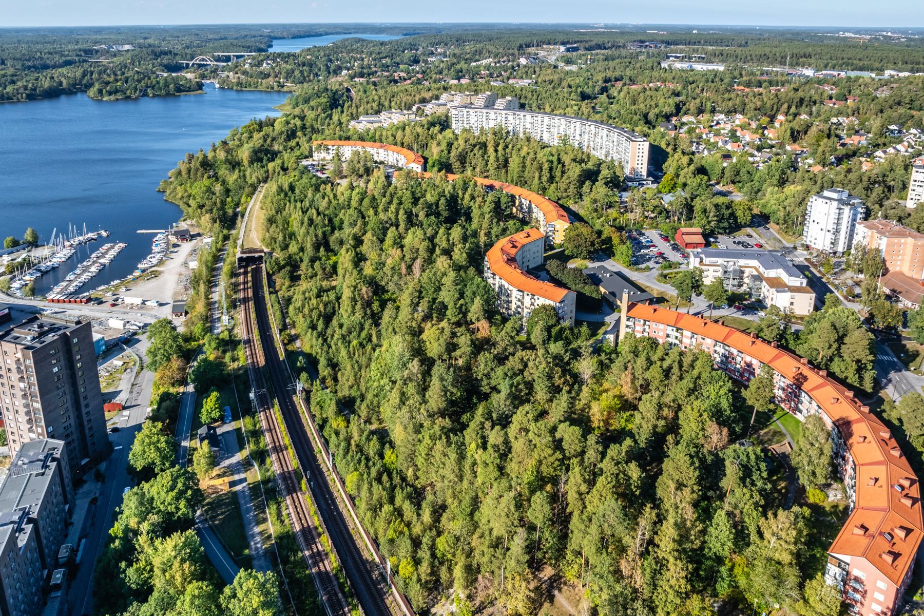 Föreningen
