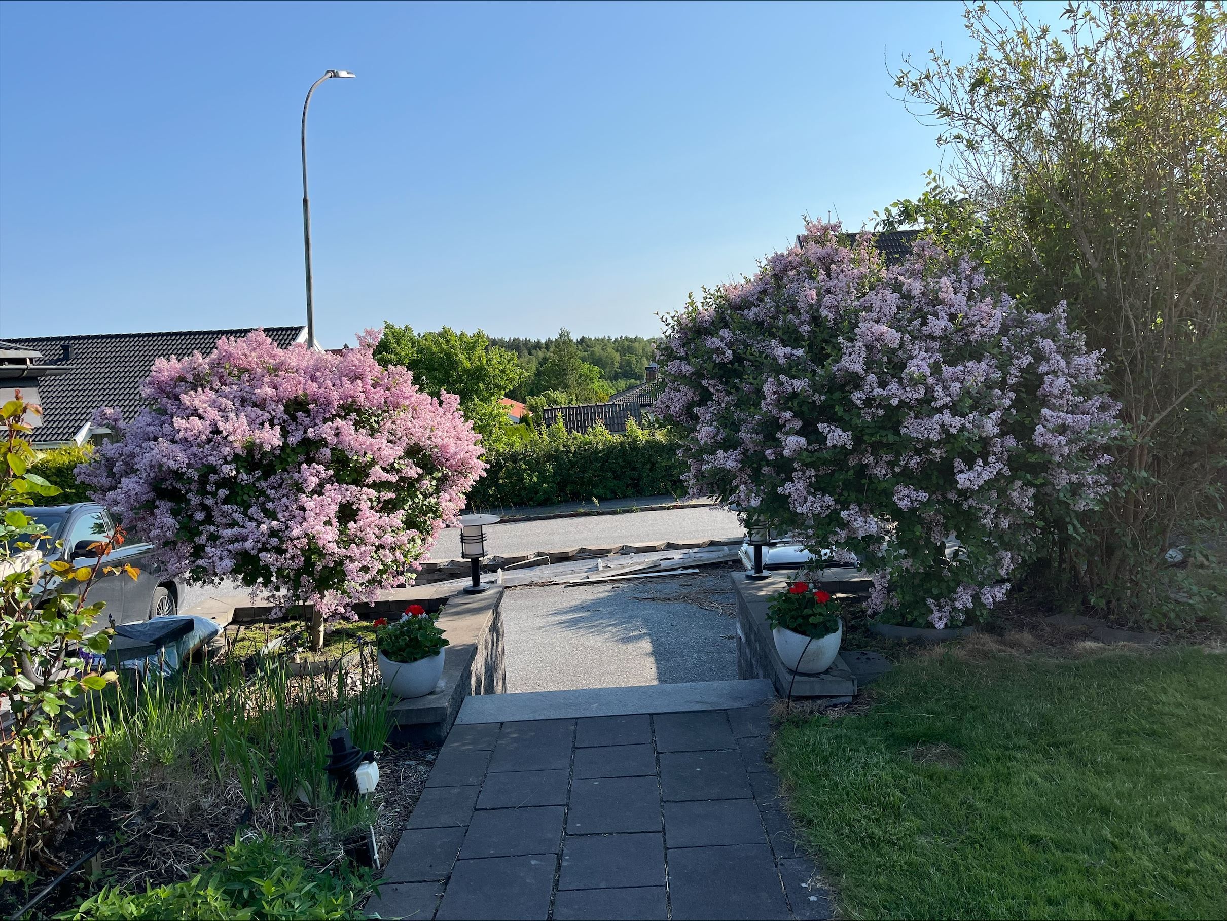 Säljarens egna bilder