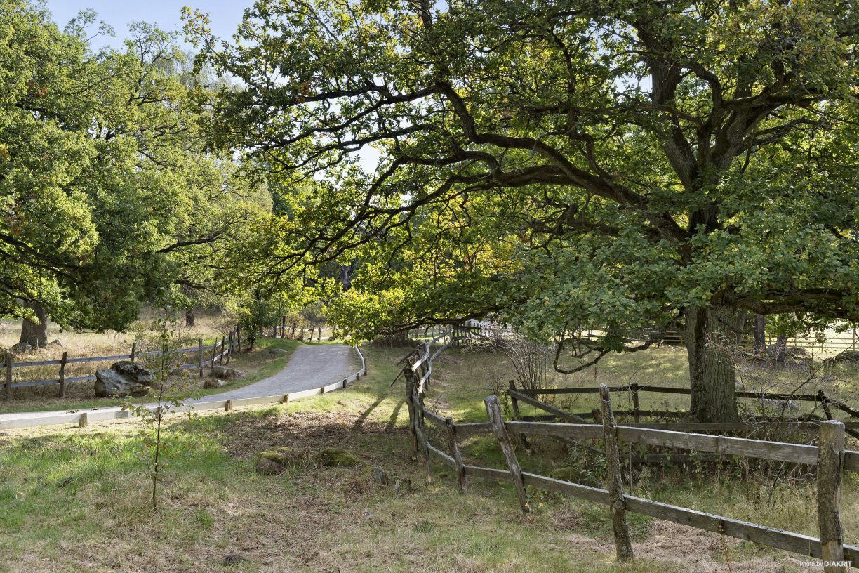 Promenadstråk på järvafältet
