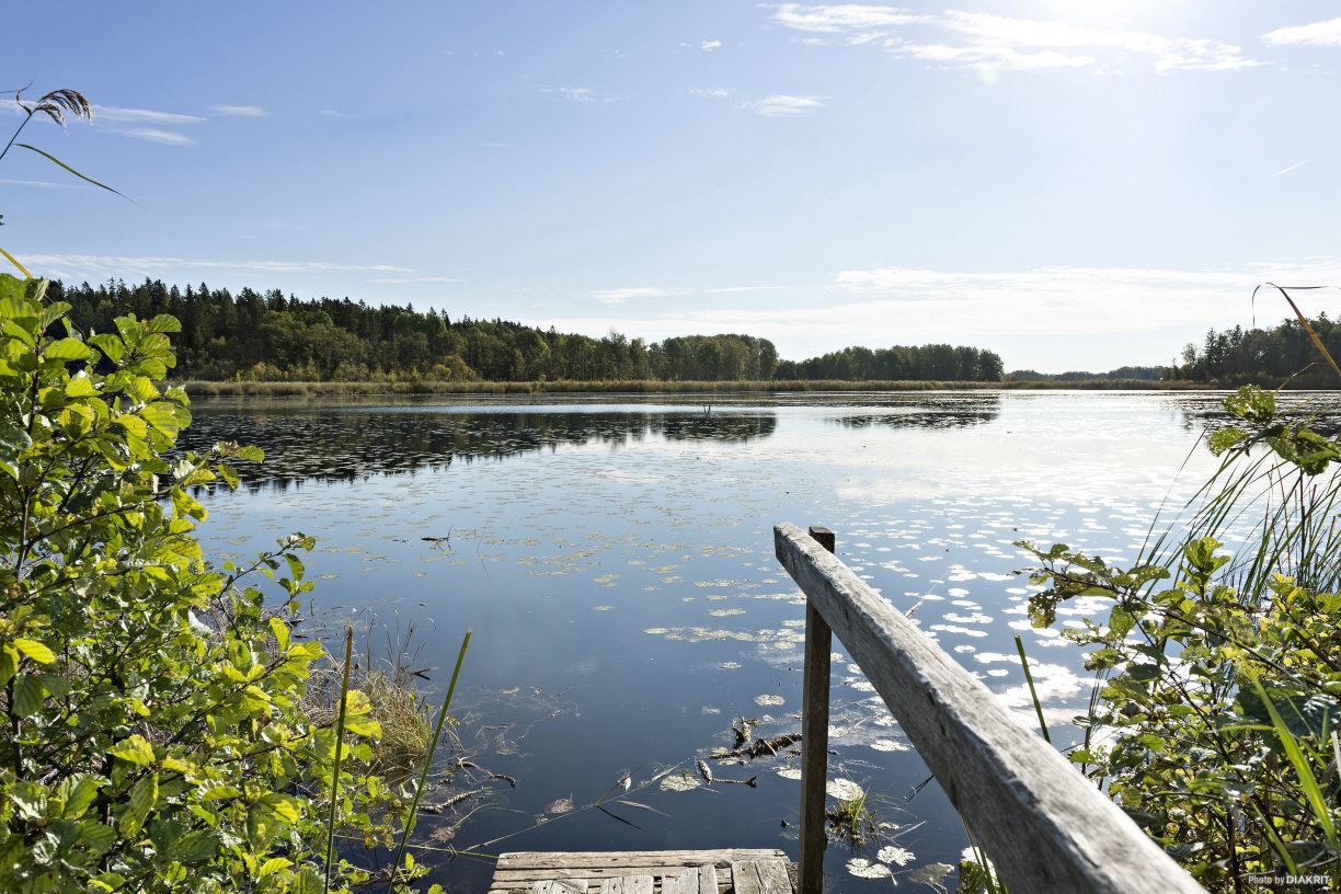 Höstmorgon vid Säbysjön