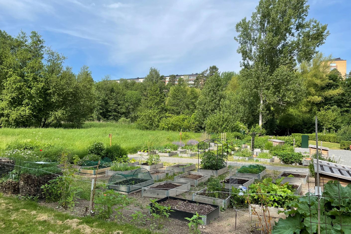 Odlingsområdet
