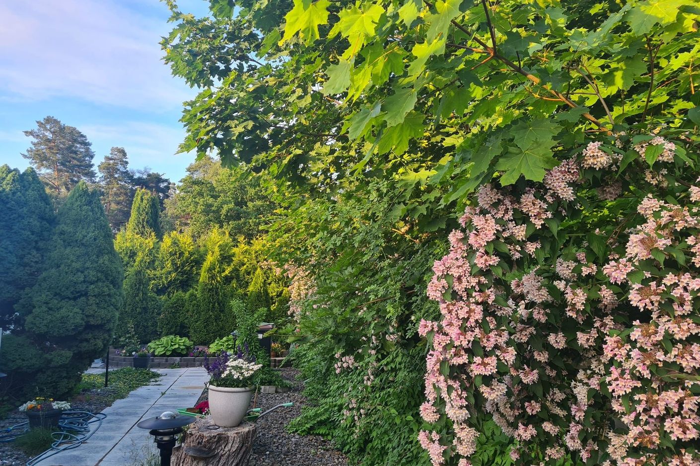 Lummig trädgård